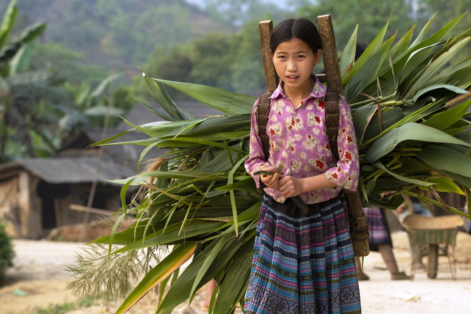 Hmong-girl
