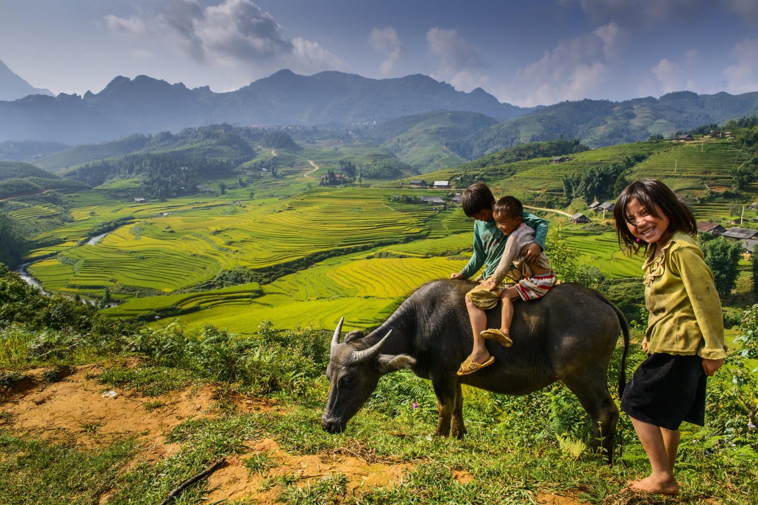 children-with-buffalo-1
